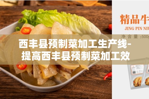 西丰县预制菜加工生产线- 提高西丰县预制菜加工效率的关键