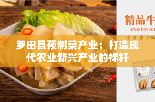 罗田县预制菜产业：打造现代农业新兴产业的标杆
