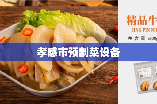 孝感市预制菜设备