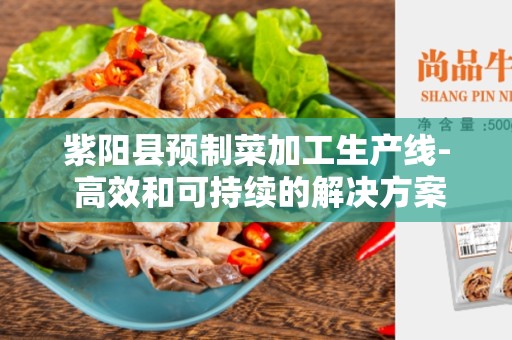 紫阳县预制菜加工生产线- 高效和可持续的解决方案