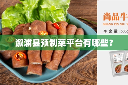 溆浦县预制菜平台有哪些？