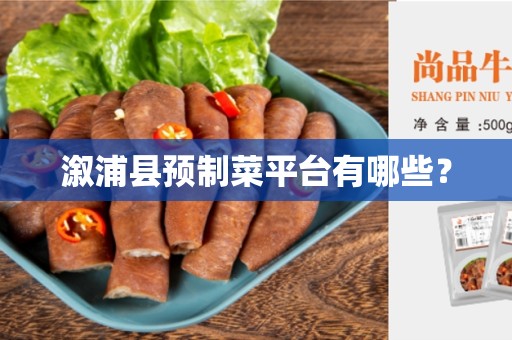 溆浦县预制菜平台有哪些？