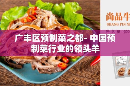 广丰区预制菜之都- 中国预制菜行业的领头羊