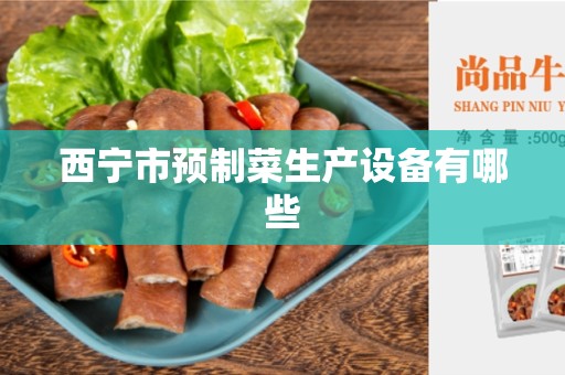 西宁市预制菜生产设备有哪些