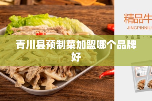 青川县预制菜加盟哪个品牌好