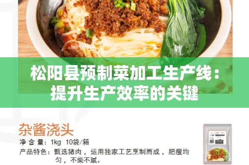 松阳县预制菜加工生产线：提升生产效率的关键