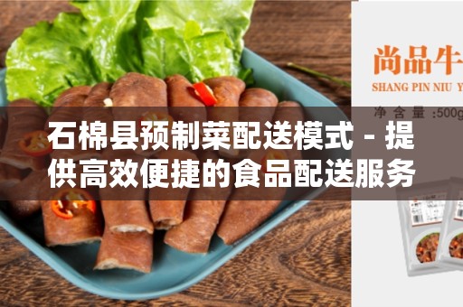石棉县预制菜配送模式 - 提供高效便捷的食品配送服务