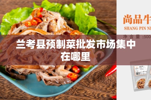 兰考县预制菜批发市场集中在哪里