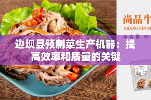边坝县预制菜生产机器：提高效率和质量的关键