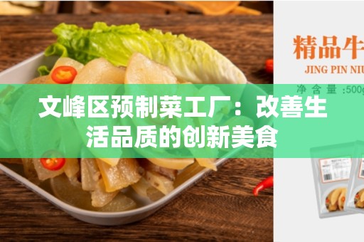 文峰区预制菜工厂：改善生活品质的创新美食