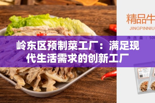 岭东区预制菜工厂：满足现代生活需求的创新工厂