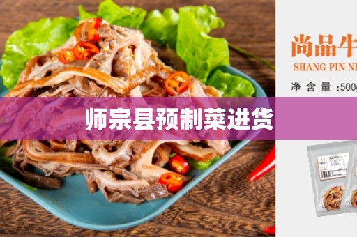 师宗县预制菜进货