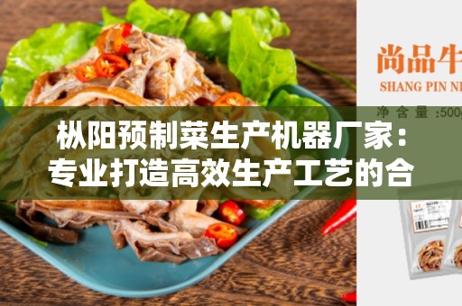 枞阳预制菜生产机器厂家：专业打造高效生产工艺的合作伙伴