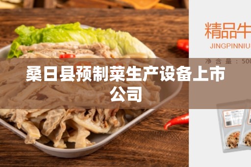 桑日县预制菜生产设备上市公司
