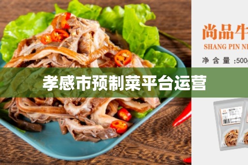 孝感市预制菜平台运营