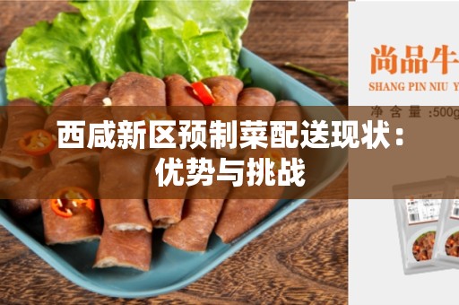 西咸新区预制菜配送现状：优势与挑战