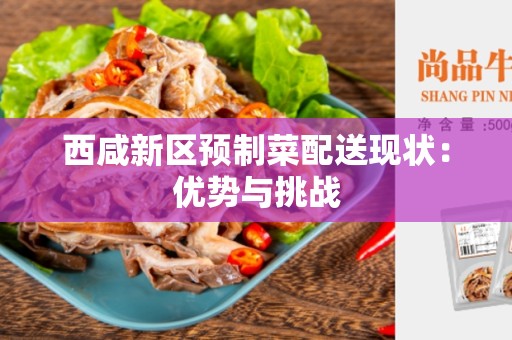 西咸新区预制菜配送现状：优势与挑战