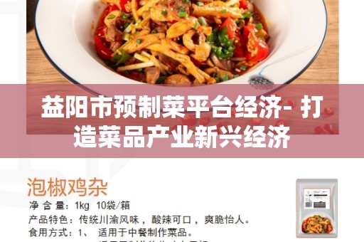 益阳市预制菜平台经济- 打造菜品产业新兴经济