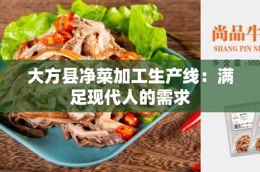 大方县净菜加工生产线：满足现代人的需求