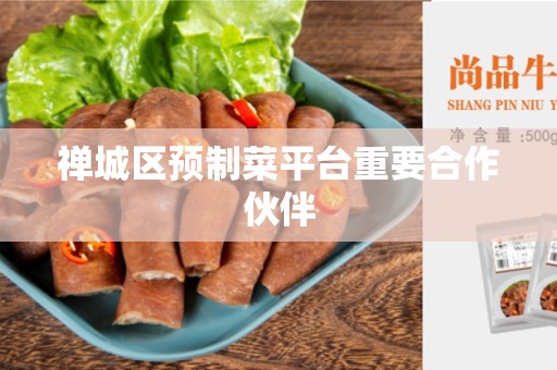 禅城区预制菜平台重要合作伙伴