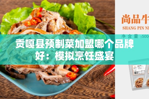 贡嘎县预制菜加盟哪个品牌好：模拟烹饪盛宴