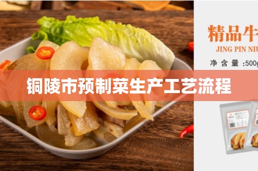 铜陵市预制菜生产工艺流程
