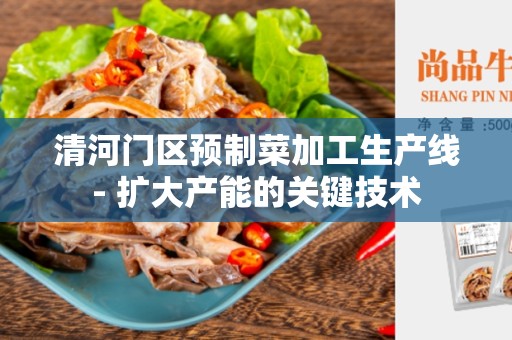 清河门区预制菜加工生产线- 扩大产能的关键技术