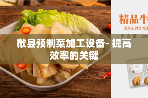 歙县预制菜加工设备- 提高效率的关键