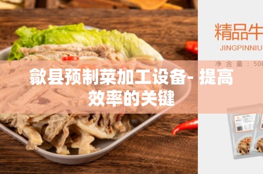 歙县预制菜加工设备- 提高效率的关键