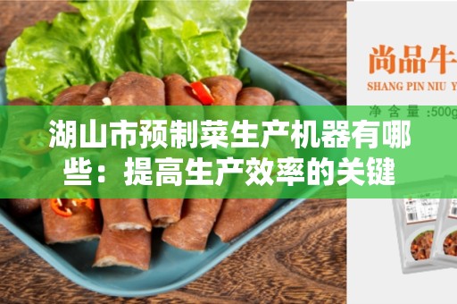 湖山市预制菜生产机器有哪些：提高生产效率的关键