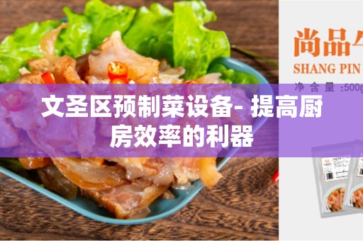 文圣区预制菜设备- 提高厨房效率的利器