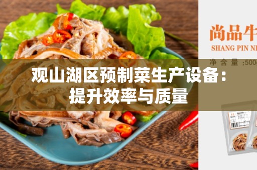 观山湖区预制菜生产设备：提升效率与质量