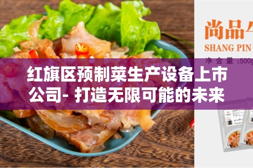 红旗区预制菜生产设备上市公司- 打造无限可能的未来