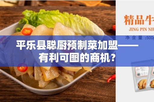平乐县聪厨预制菜加盟——有利可图的商机？