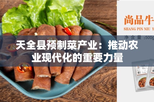 天全县预制菜产业：推动农业现代化的重要力量