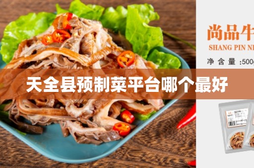 天全县预制菜平台哪个最好