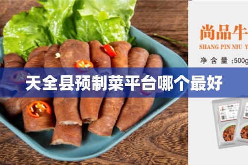 天全县预制菜平台哪个最好