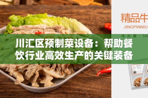 川汇区预制菜设备：帮助餐饮行业高效生产的关键装备