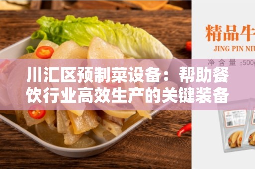 川汇区预制菜设备：帮助餐饮行业高效生产的关键装备