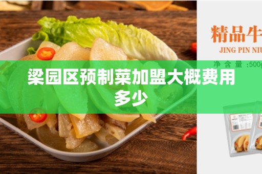 梁园区预制菜加盟大概费用多少