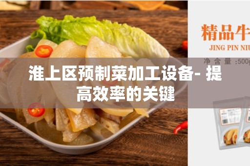 淮上区预制菜加工设备- 提高效率的关键