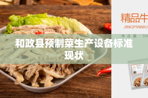 和政县预制菜生产设备标准现状