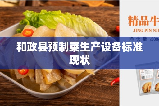 和政县预制菜生产设备标准现状