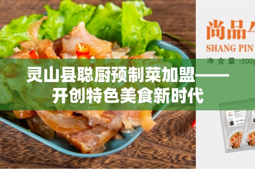 灵山县聪厨预制菜加盟——开创特色美食新时代