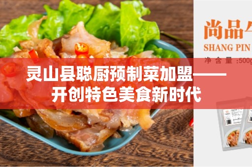 灵山县聪厨预制菜加盟——开创特色美食新时代