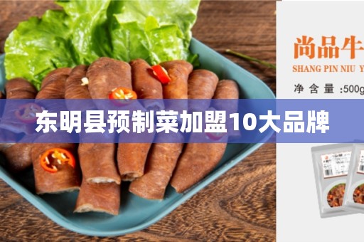 东明县预制菜加盟10大品牌