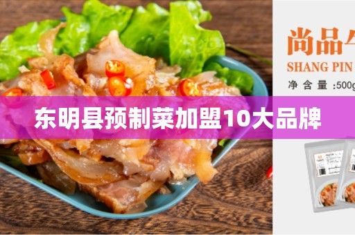 东明县预制菜加盟10大品牌