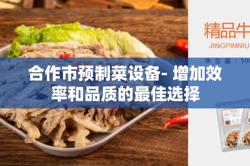 合作市预制菜设备- 增加效率和品质的最佳选择