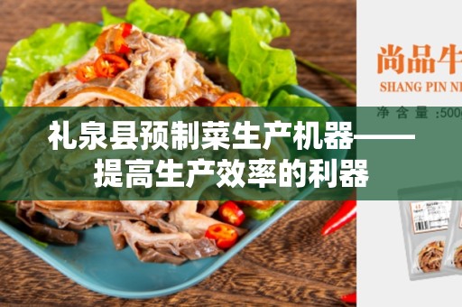 礼泉县预制菜生产机器——提高生产效率的利器