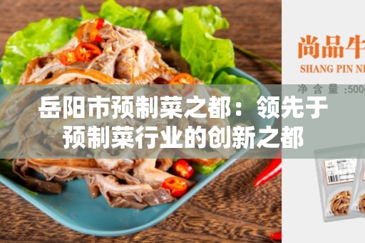 岳阳市预制菜之都：领先于预制菜行业的创新之都